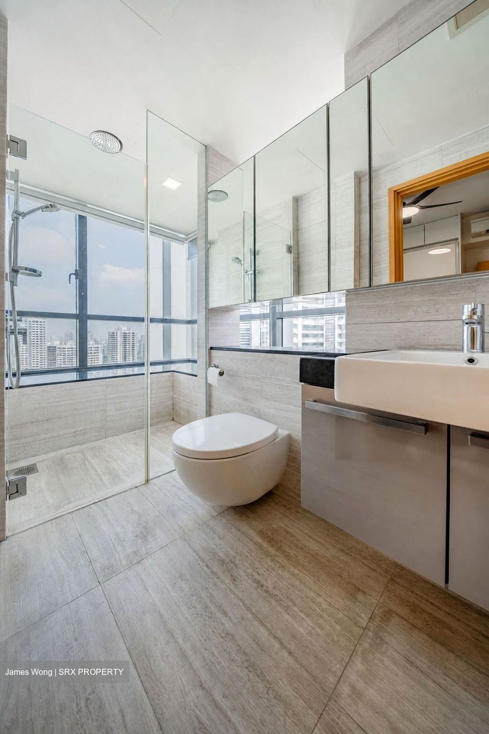 Cityscape @ Farrer Park (D8), Condominium #599143921